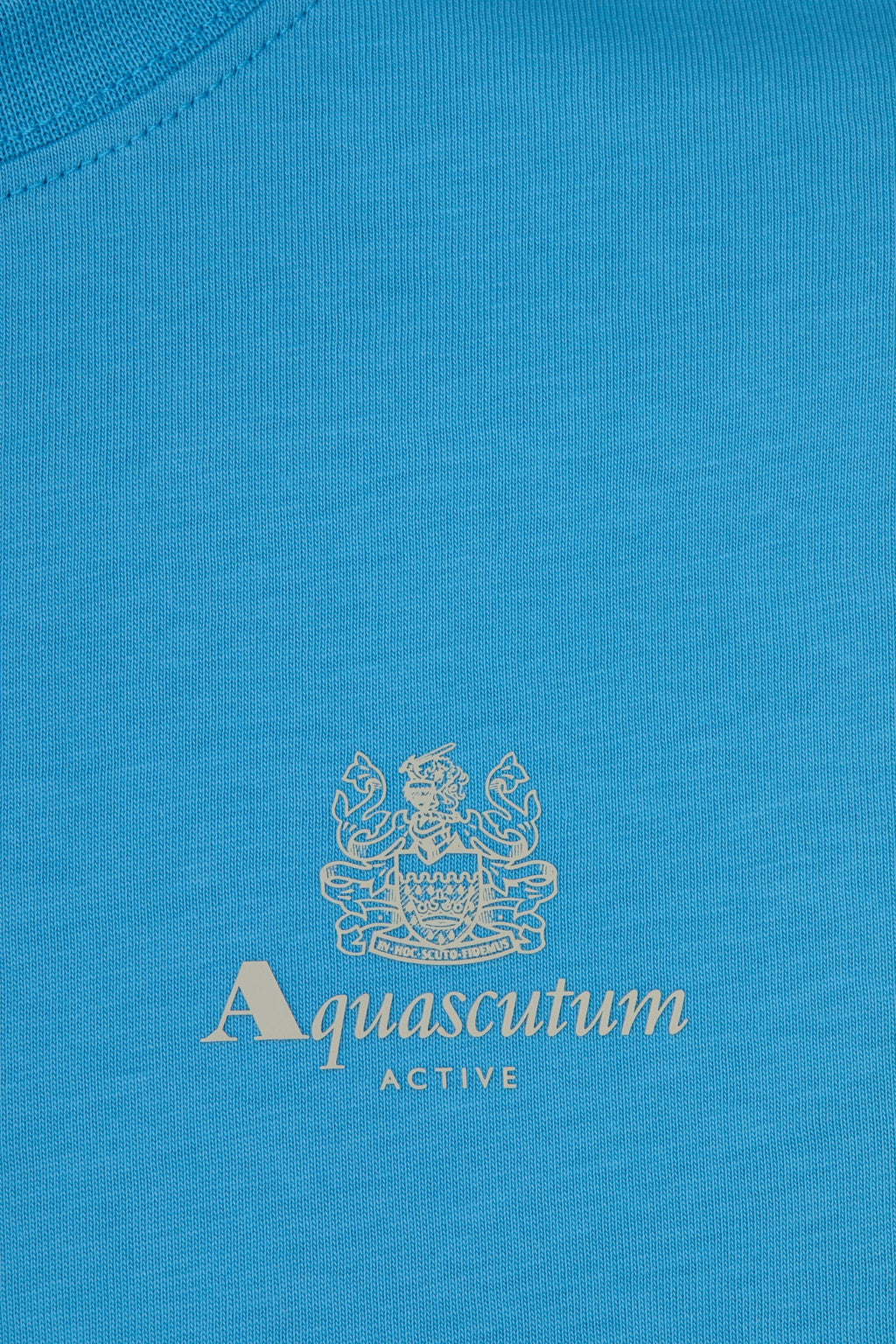 Small Logo T Shirt - Oil – Aquascutum Active