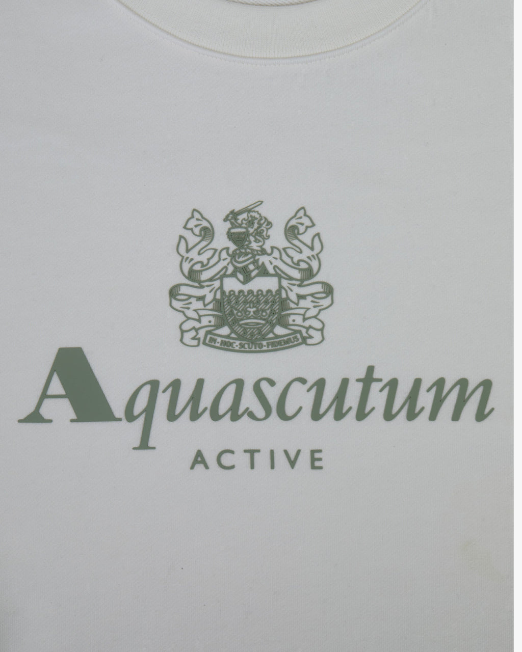 Big Logo Crew Neck Sweater - Sour Cream – Aquascutum Active