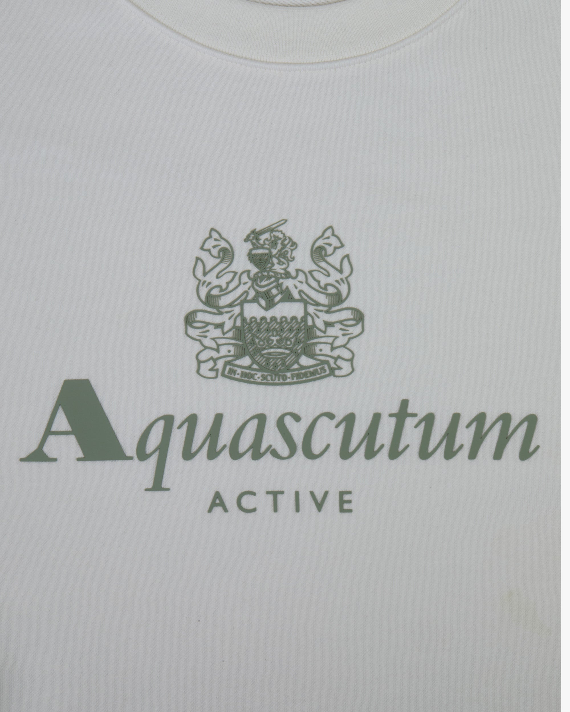Big Logo Crew Neck Sweater - Sour Cream – Aquascutum Active