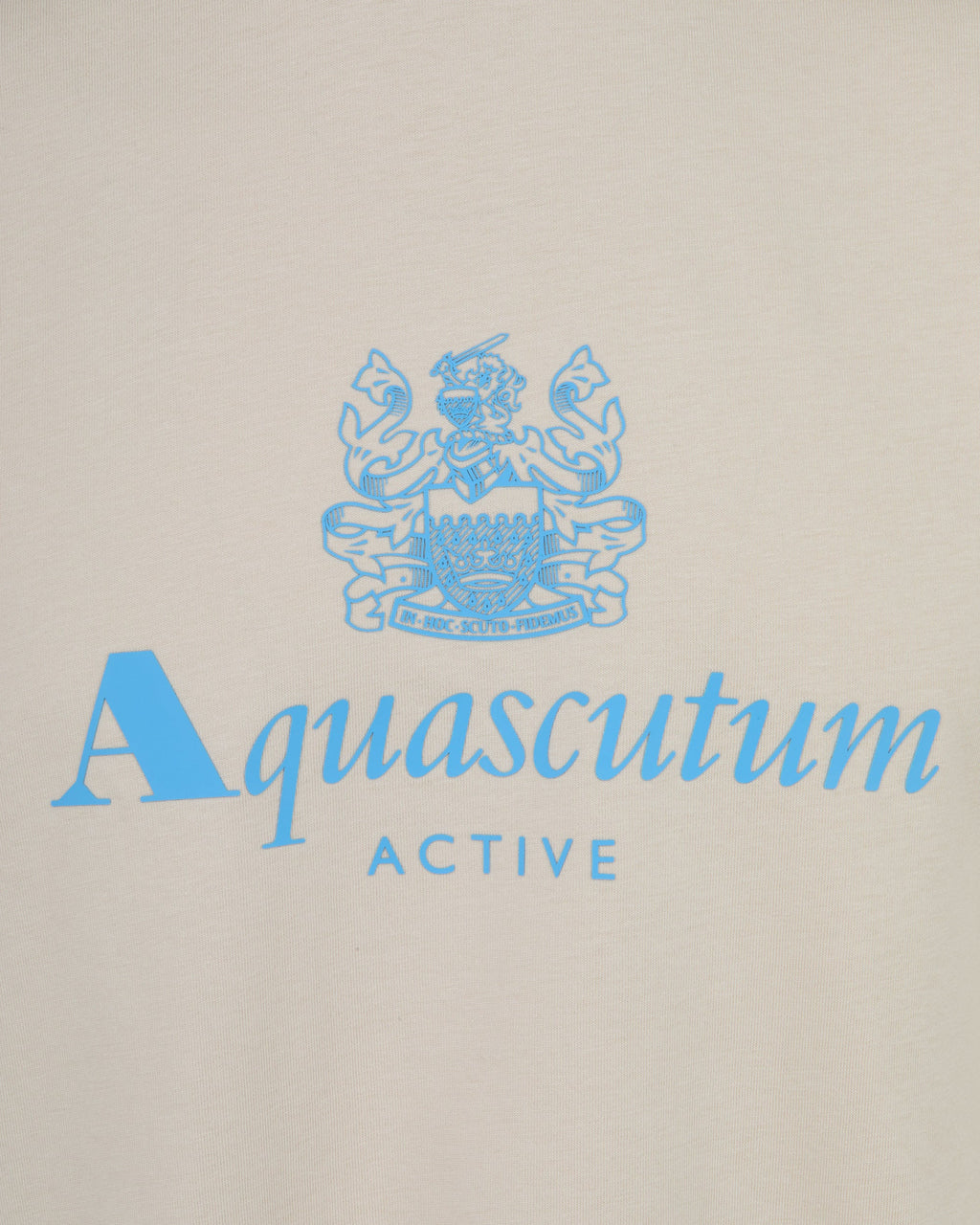 Big Logo T Shirt - Beige – Aquascutum Active