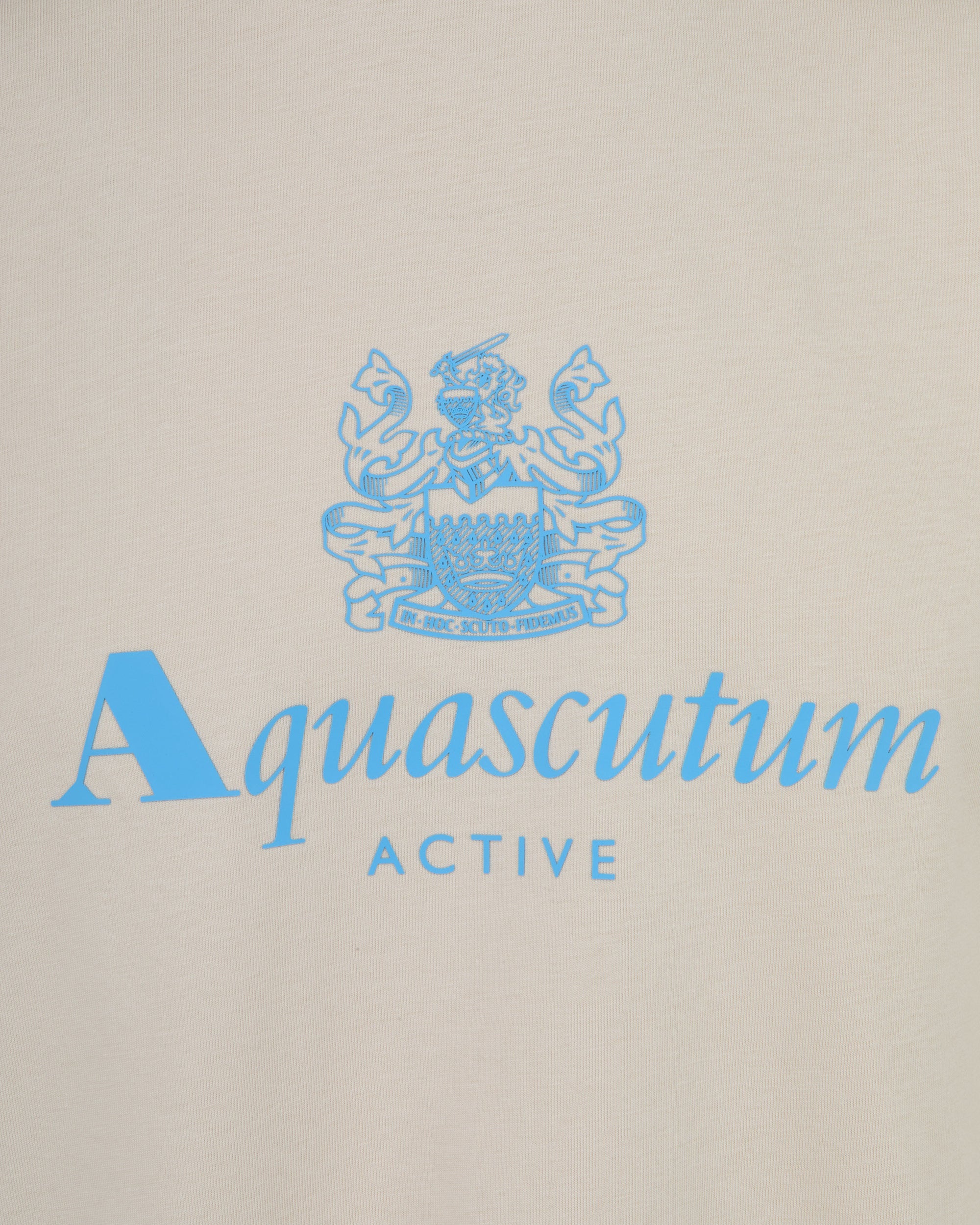 Big Logo T Shirt - Beige – Aquascutum Active